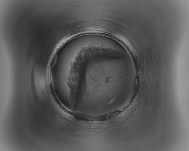 X0000116421371200912150950