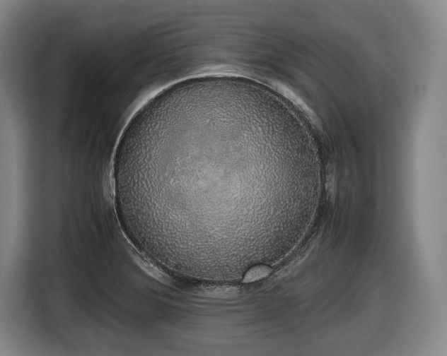 X0000116421372200912150950