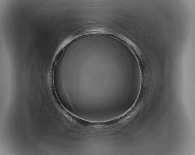 X0000116421373200912150950