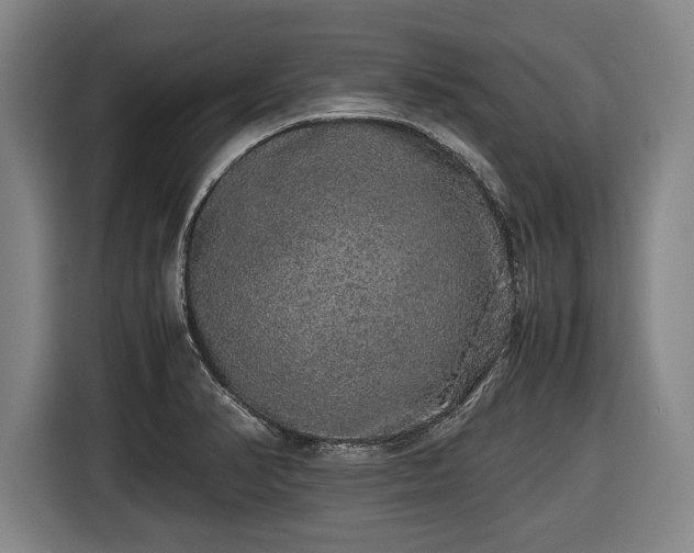 X0000116421374200912150950