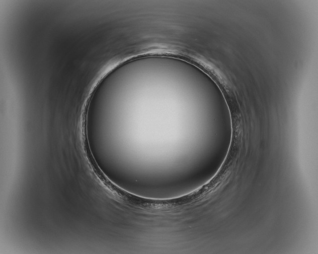 X0000116421375200912150949