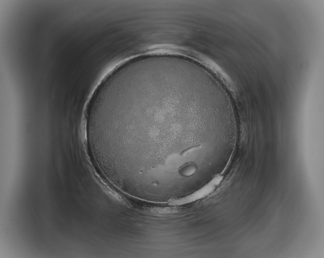X0000116421376200912150949