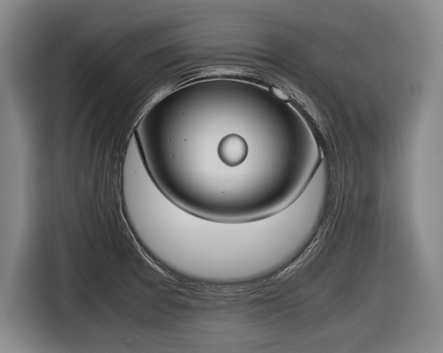 X0000116421377200912150949
