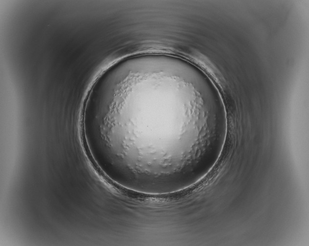 X0000116421379200912150949