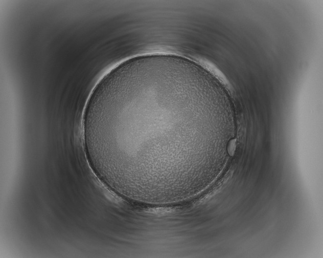 X0000116421380200912150949