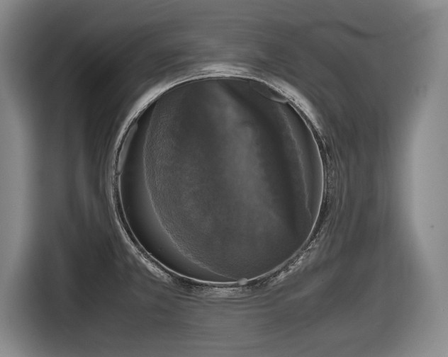 X0000116421381200912150949