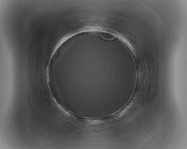 X0000116421382200912150949