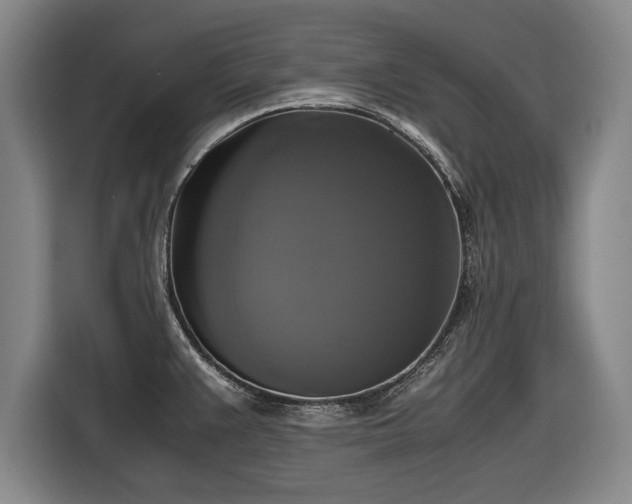 X0000116421383200912150949