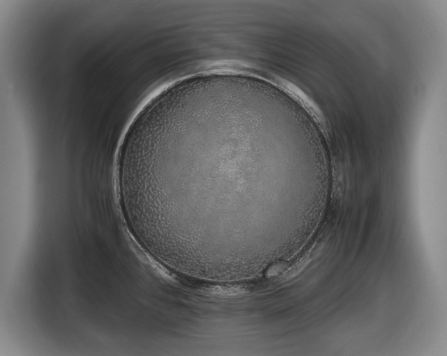 X0000116421384200912150949