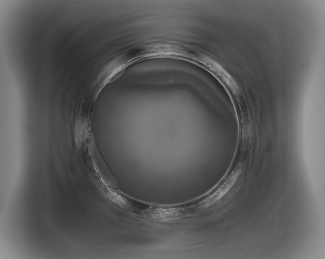 X0000116421385200912150949