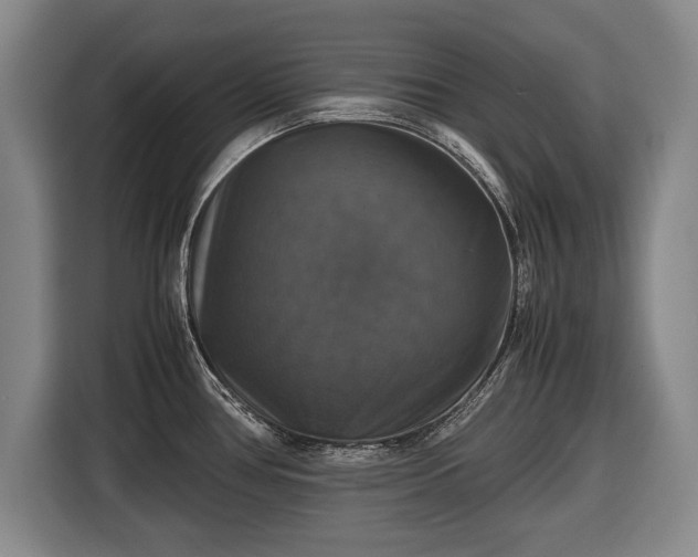 X0000116421386200912150949