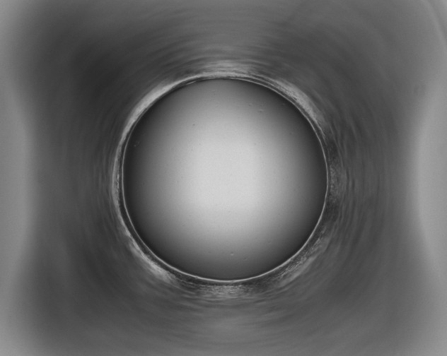 X0000116421387200912150949