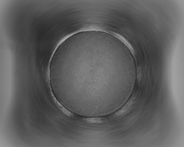 X0000116421388200912150949