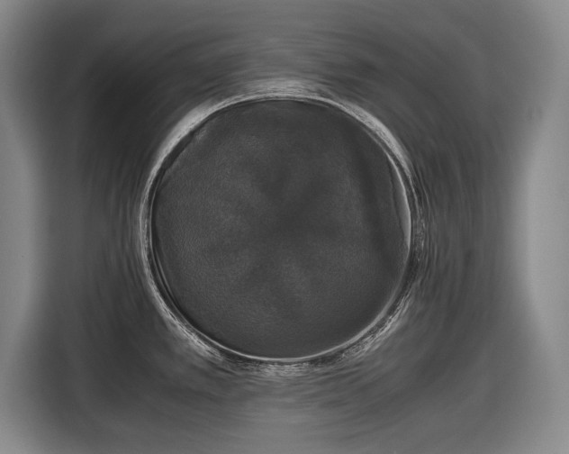 X0000116421389200912150949