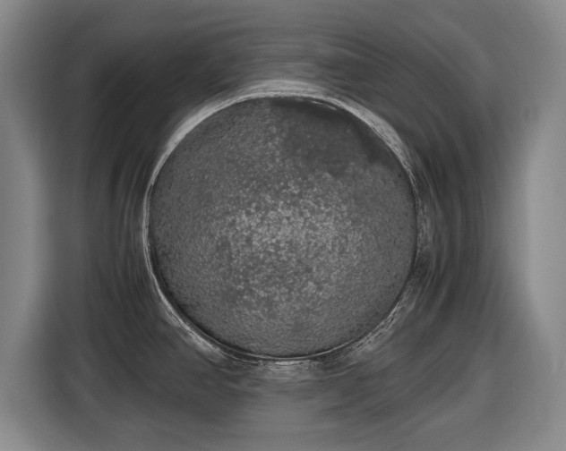 X0000116421390200912150949