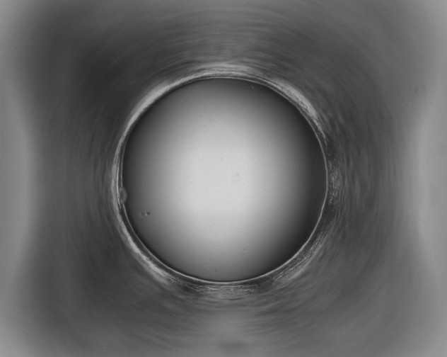 X0000116421391200912150949