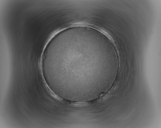 X0000116421392200912150949