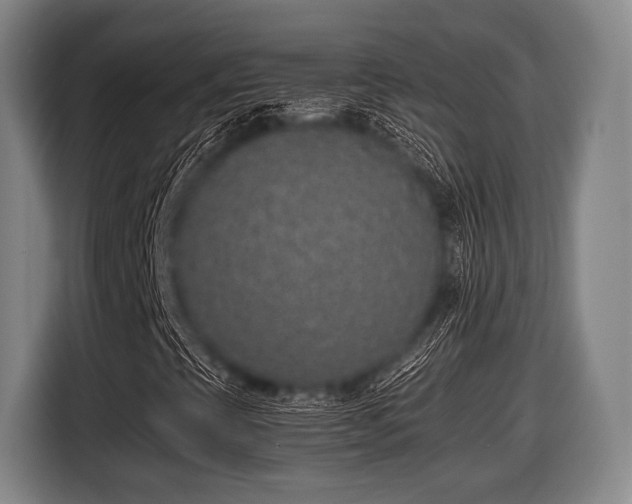 X0000116421393200912150949