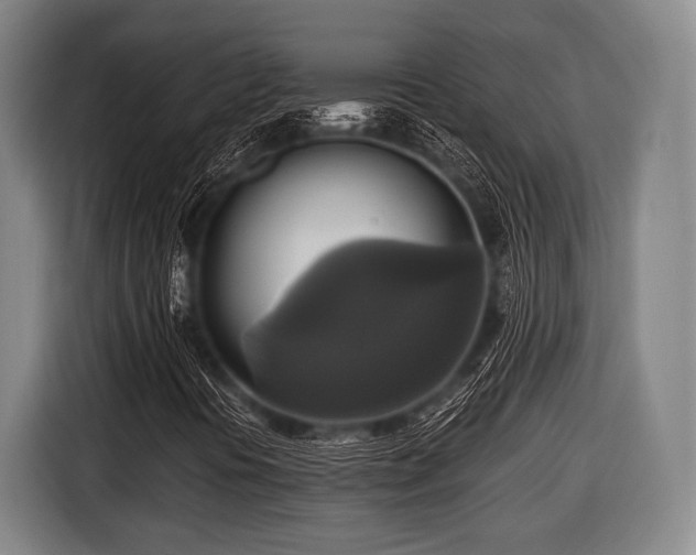 X0000116421394200912150949