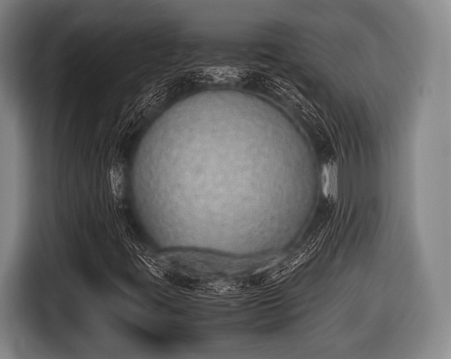X0000116421395200912150949