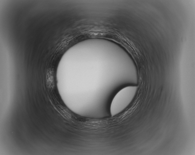 X0000116421396200912150949