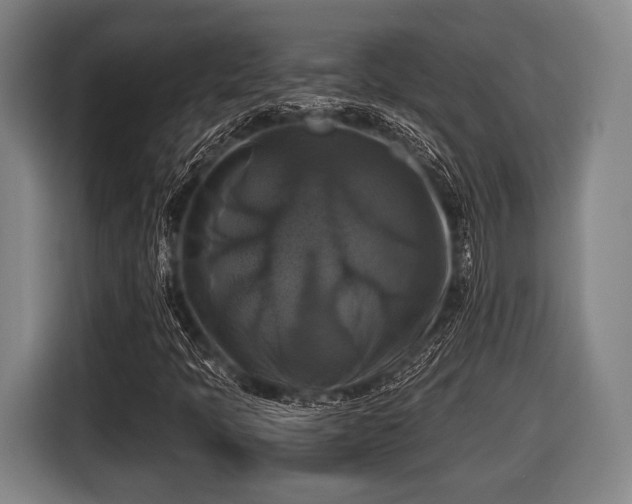 X0000116421397200912150949