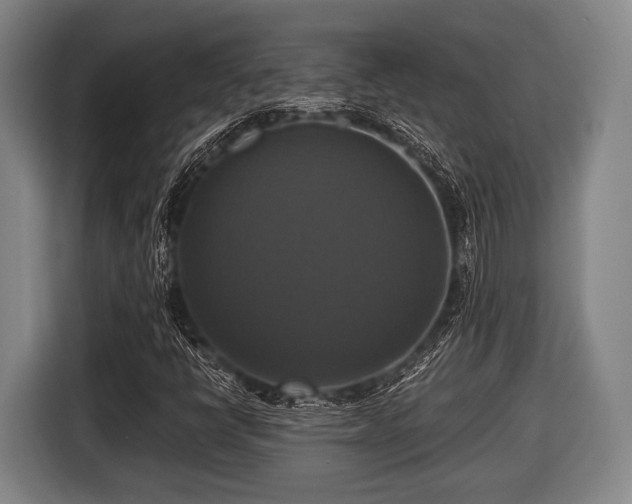 X0000116421398200912150949