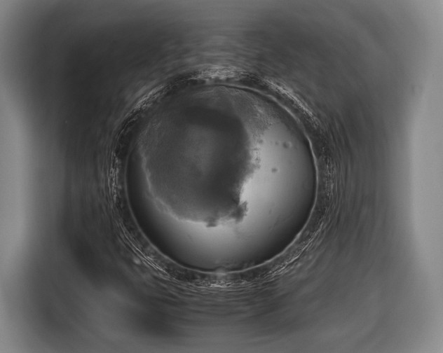 X0000116421399200912150949
