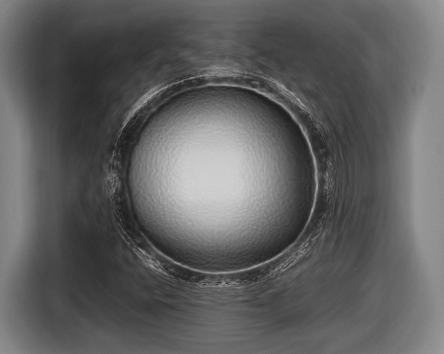 X0000116421400200912150949