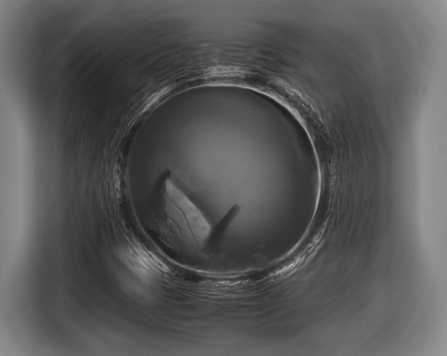 X0000116421401200912150949
