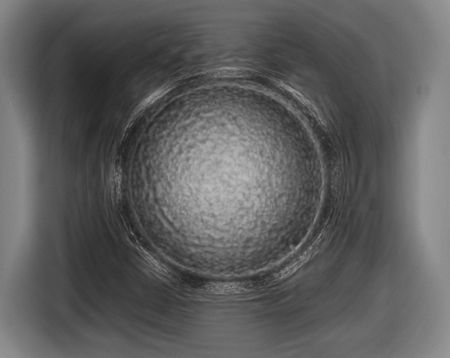 X0000116421402200912150949