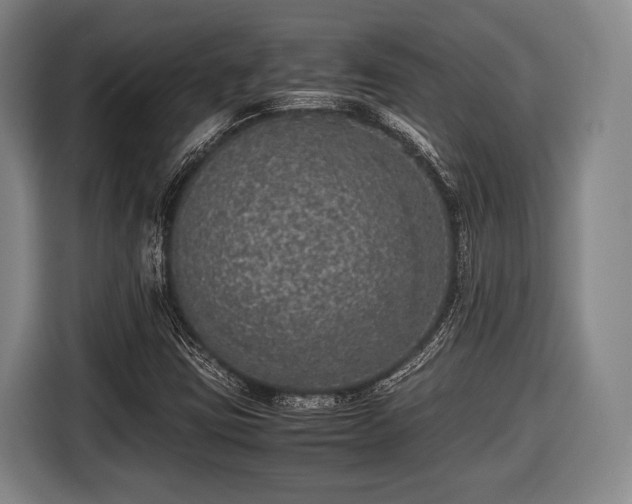 X0000116421403200912150949