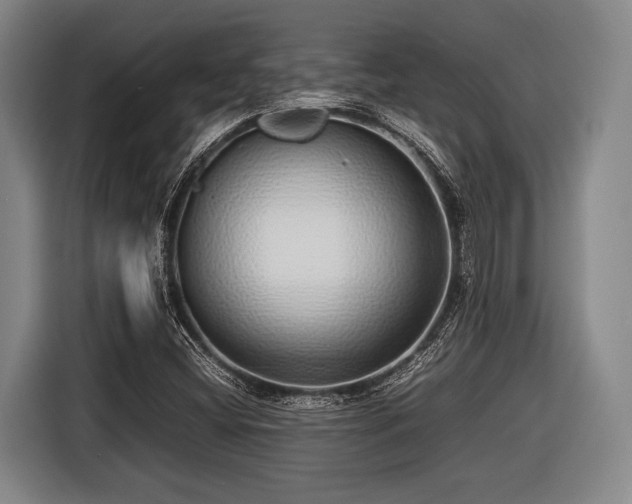 X0000116421404200912150949