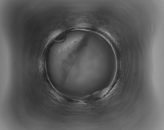 X0000116421405200912150949