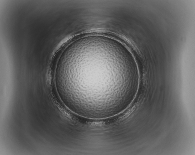 X0000116421406200912150949