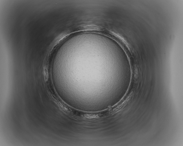 X0000116421407200912150949