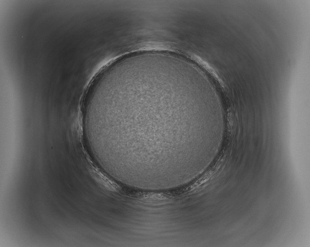 X0000116421408200912150949