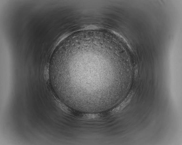 X0000116421409200912150949