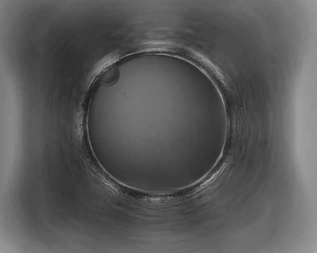 X0000116421411200912150949