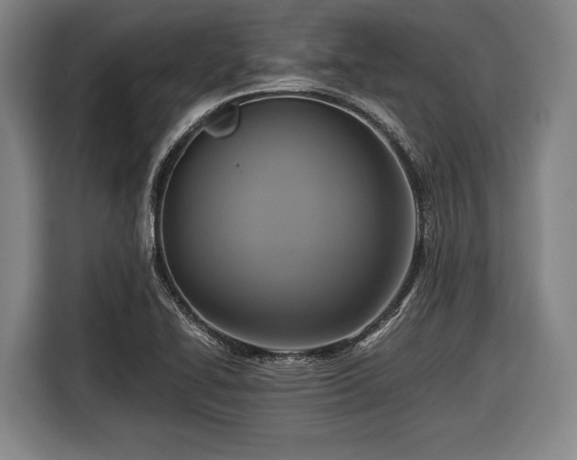 X0000116421414200912150949