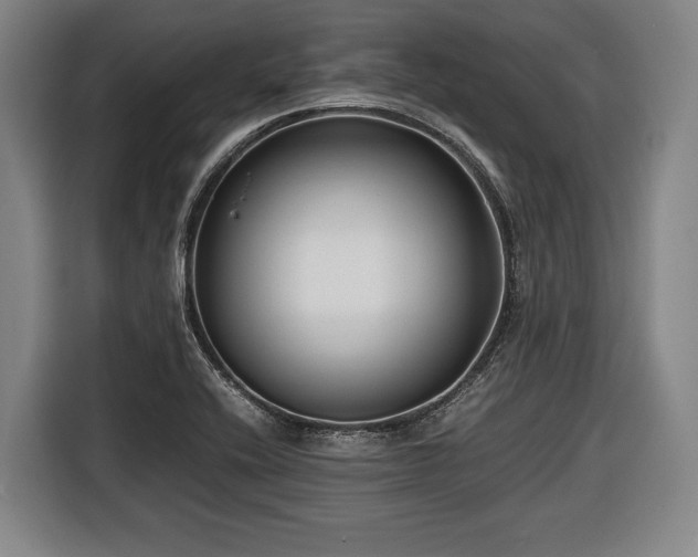 X0000116421416200912150949