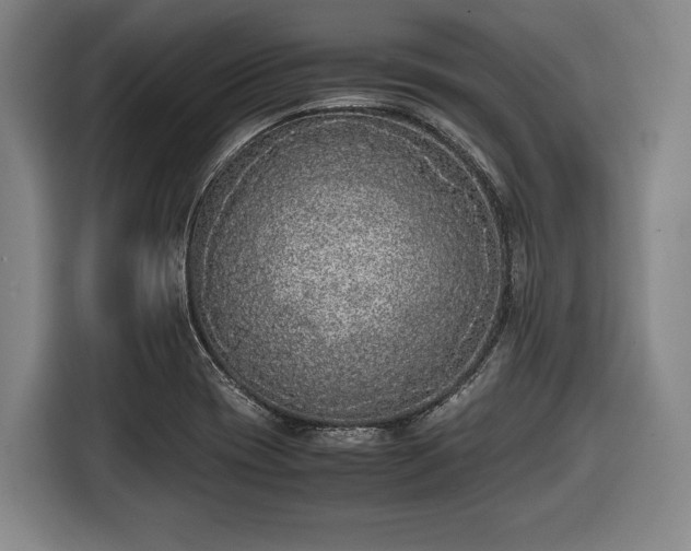 X0000116421417200912150949