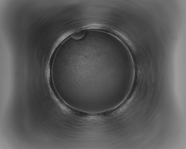 X0000116421418200912150949