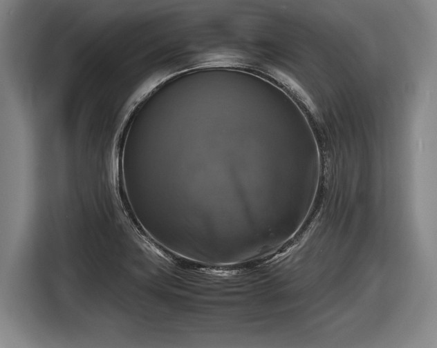 X0000116421419200912150949
