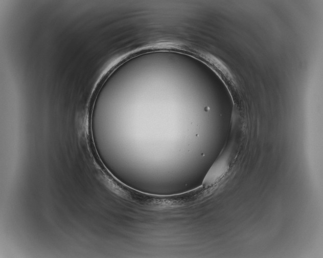 X0000116421420200912150949