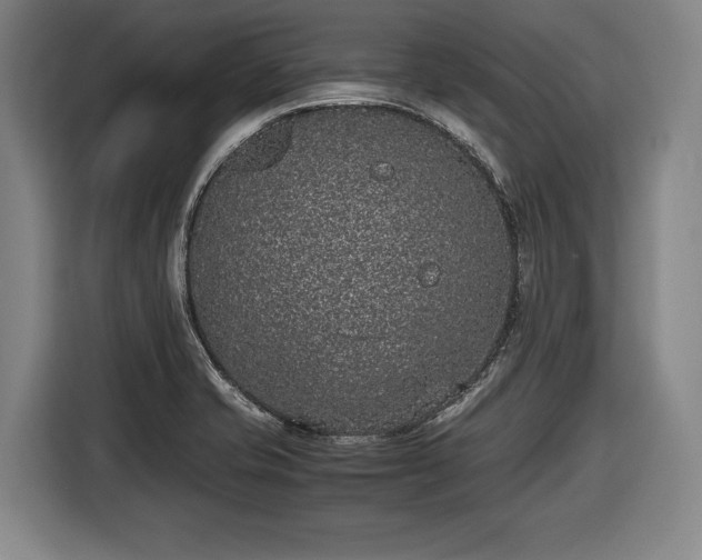 X0000116421421200912150949