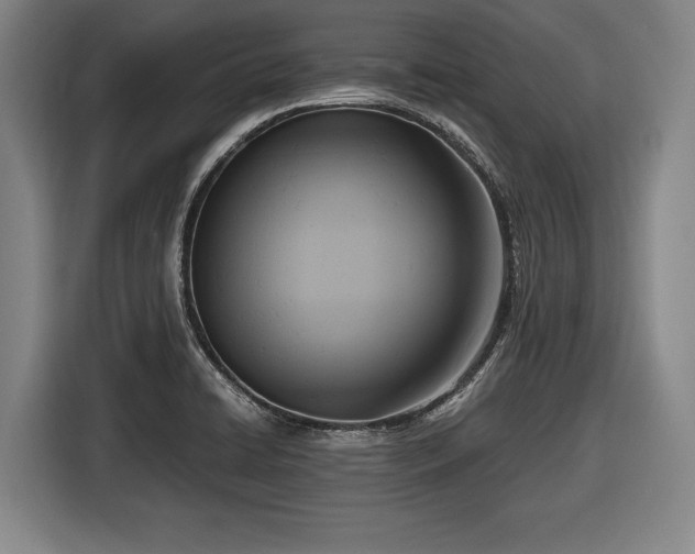 X0000116421422200912150949