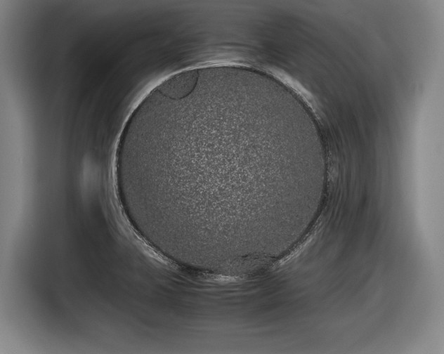X0000116421423200912150949