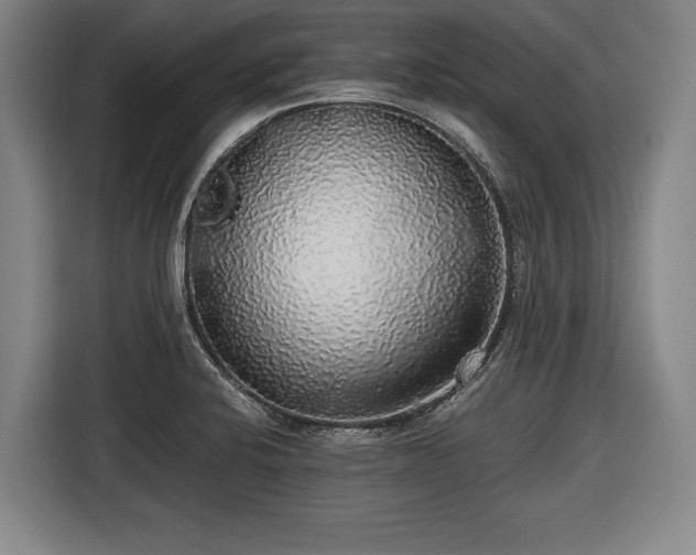 X0000116421424200912150949