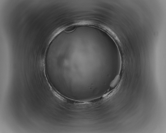 X0000116421425200912150949